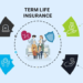 Term Life Insurance: The Only Guide You Need - Wealth Nation