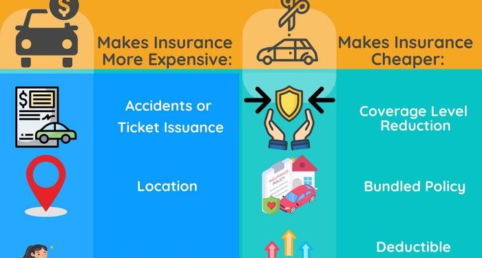 Mozo Car Insurance Report 2024