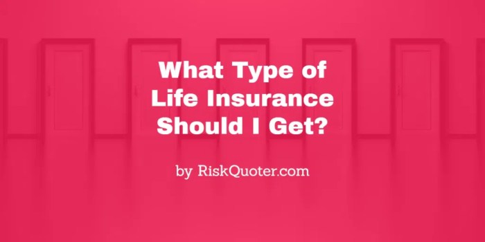Life Insurance for Foreign Nationals: The Complete U.S. Guide